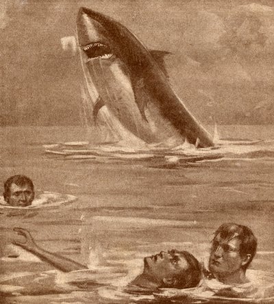 19th Century Illustration of a Man Rescuing a Swimmer with a Shark in the Background by English School